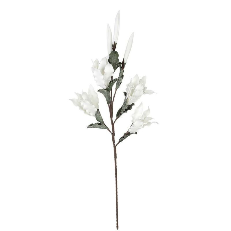λουλουδι-λευκο