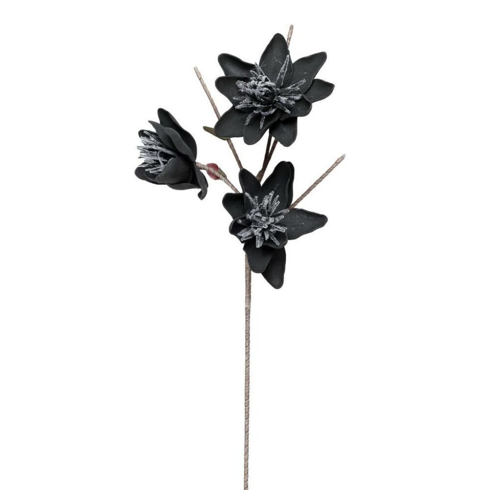 λουλουδι-μαυρο